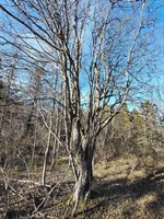 M17/L28 Basin Road, Addison, ME 04606