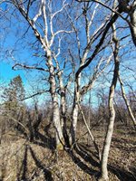 M17/L28 Basin Road, Addison, ME 04606