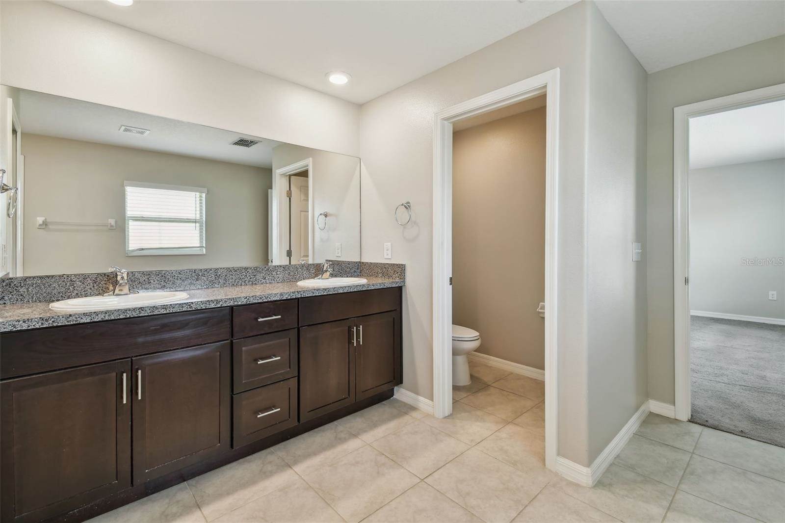 10822 Crushed Grape Drive, Riverview, FL 33578