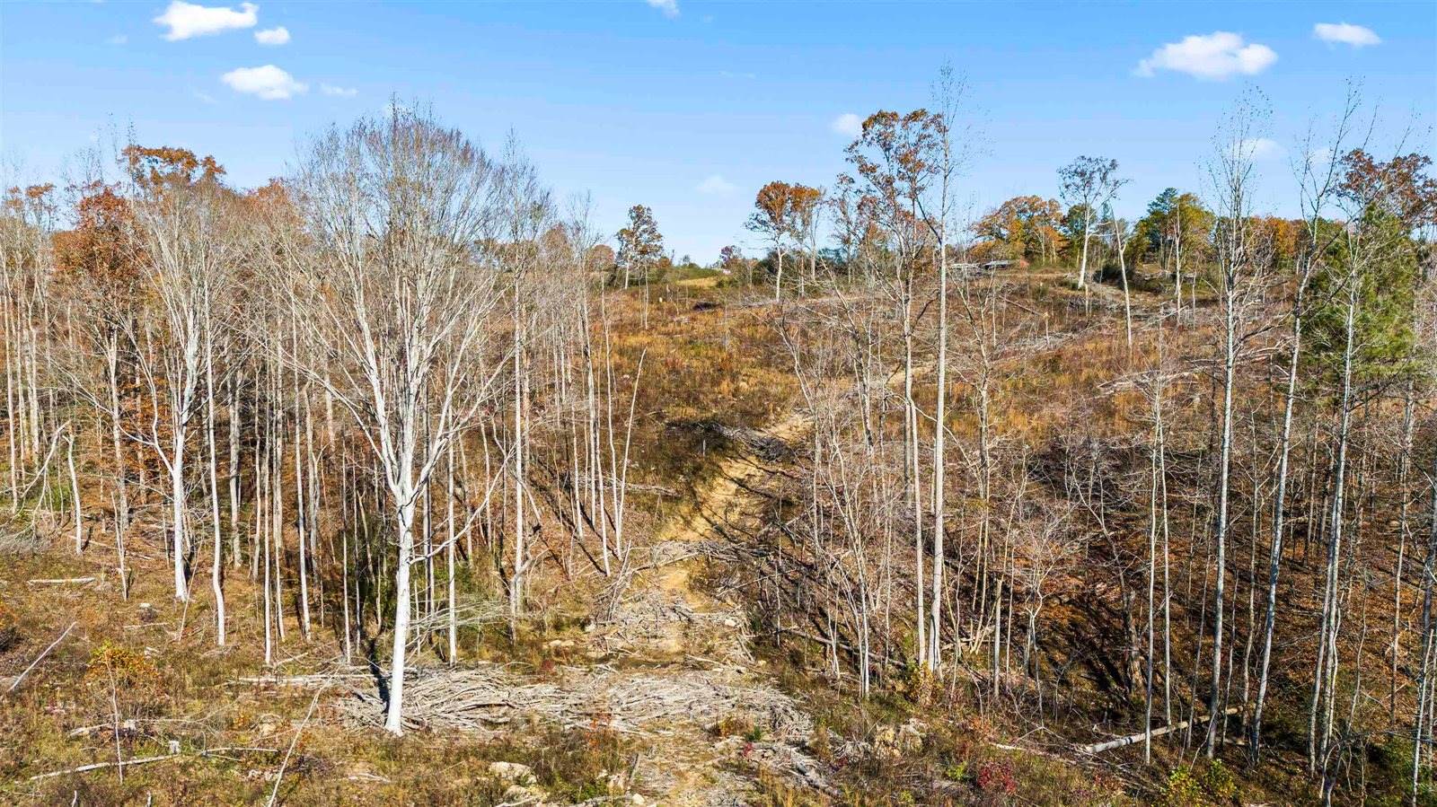 193 AC Co Rd 1069, Vinemont, AL 35179