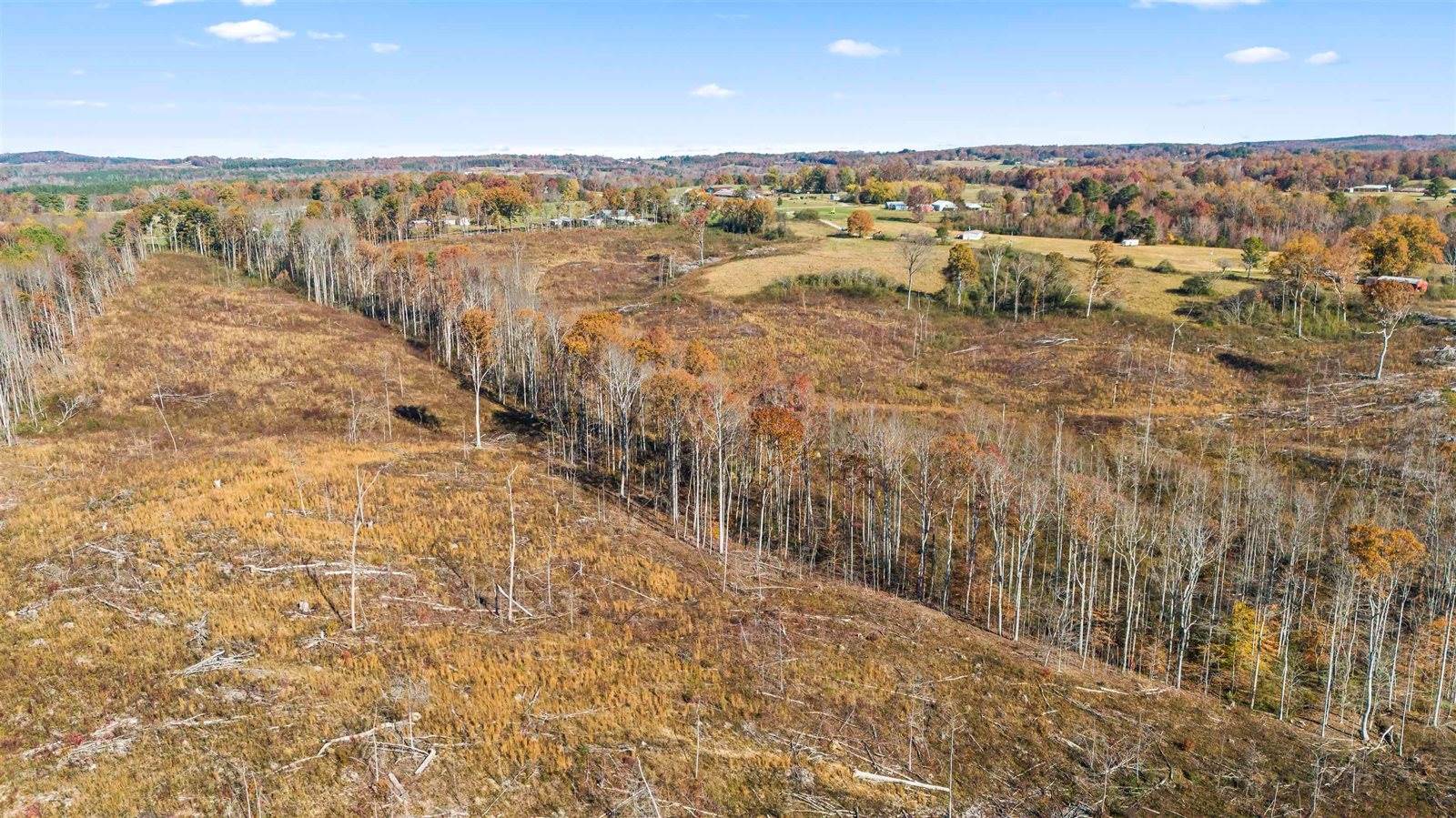 193 AC Co Rd 1069, Vinemont, AL 35179