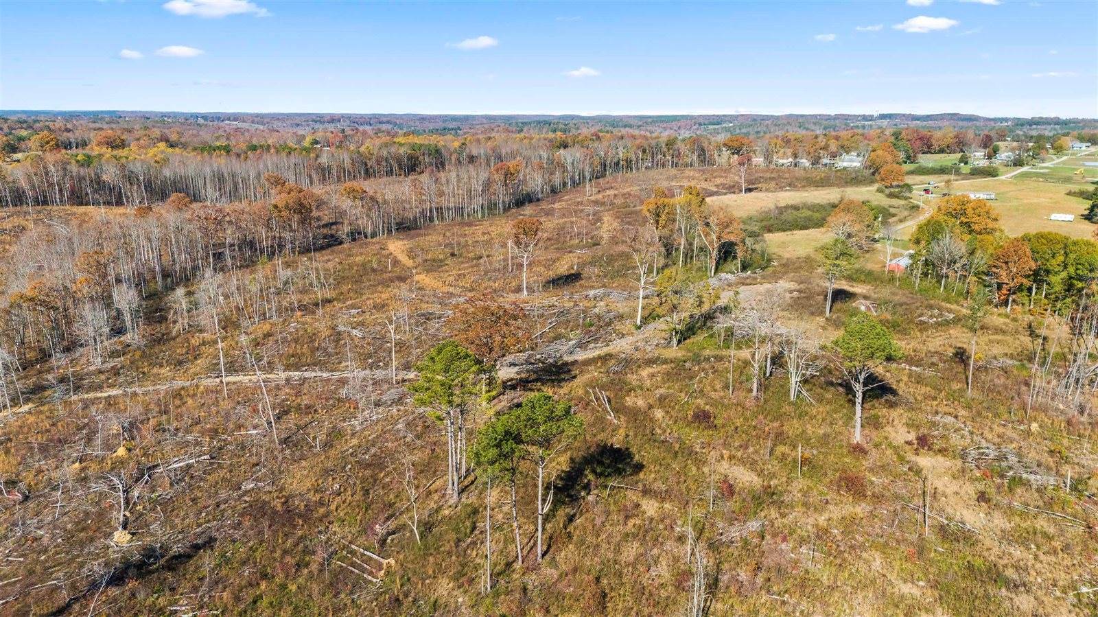 193 AC Co Rd 1069, Vinemont, AL 35179