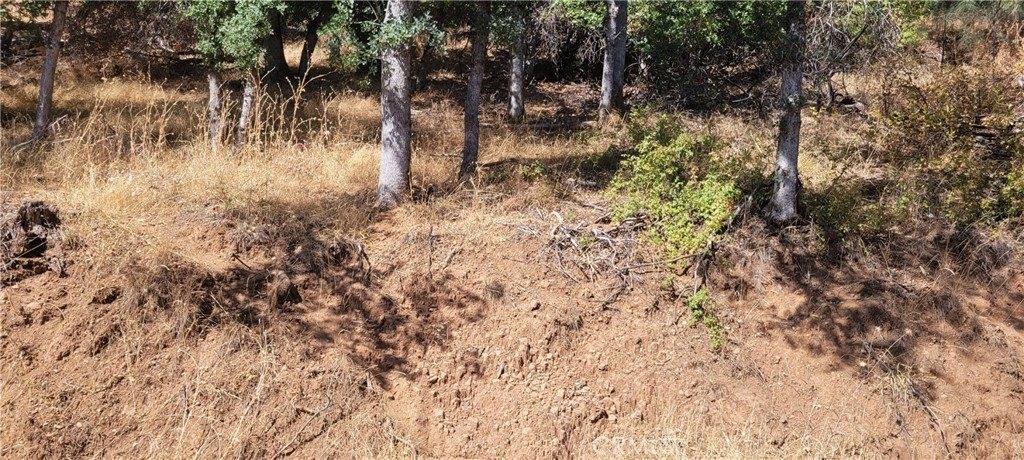 6151 Sunrise Drive, Lower Lake, CA 95457