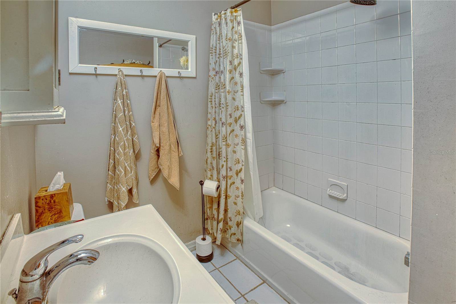 1515 Park Street North, Saint Petersburg, FL 33710