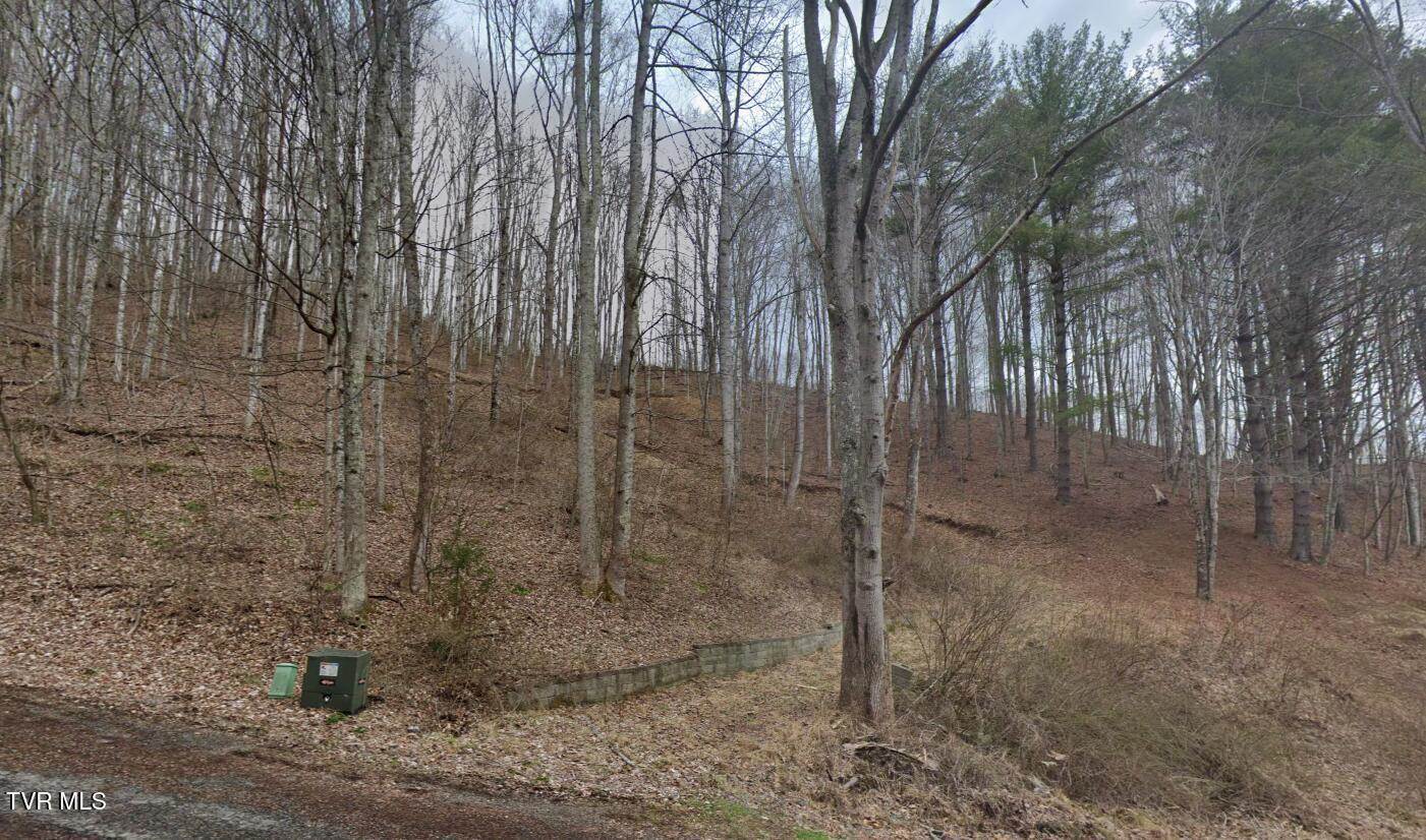 Tbd June Apple Lane, Trade, TN 37691