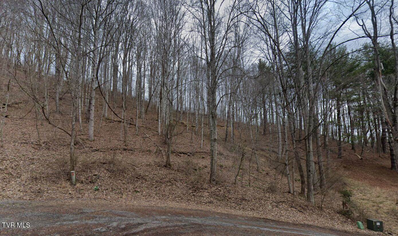 Tbd June Apple Lane, Trade, TN 37691