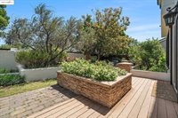 321 Lavender Way, Oakley, CA 94561