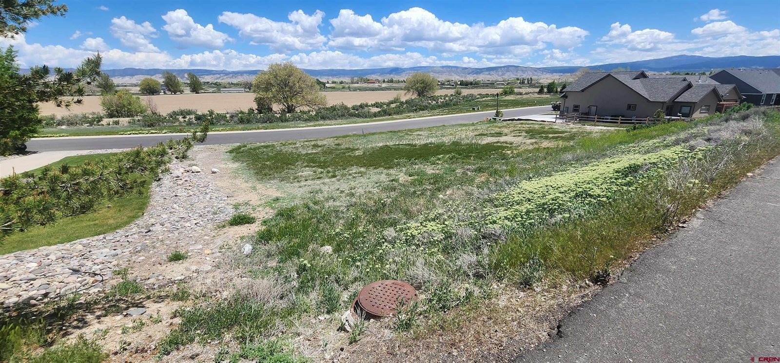 4117 Waterfall Drive, Montrose, CO 81403