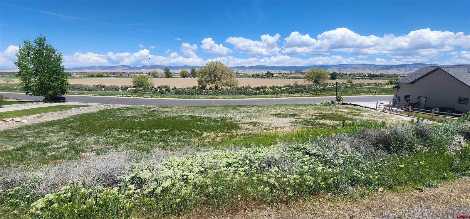 4117 Waterfall Drive, Montrose, CO 81403