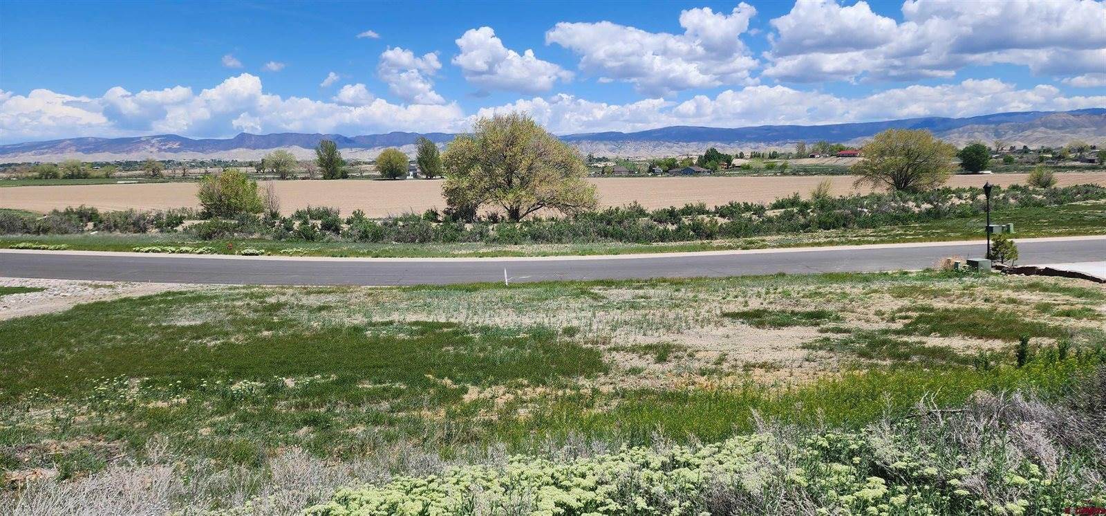 4117 Waterfall Drive, Montrose, CO 81403