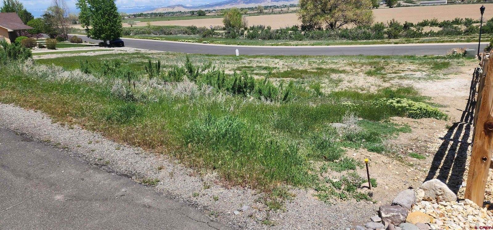 4117 Waterfall Drive, Montrose, CO 81403