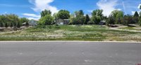 4117 Waterfall Drive, Montrose, CO 81403