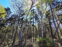 100 Weber Lane, Calais, ME 04619