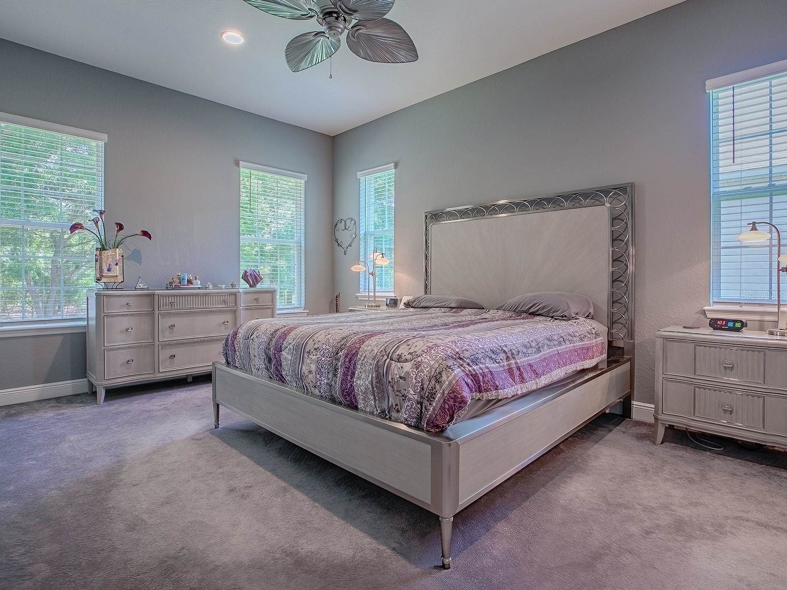 10994 SE 168TH Loop, Summerfield, FL 34491