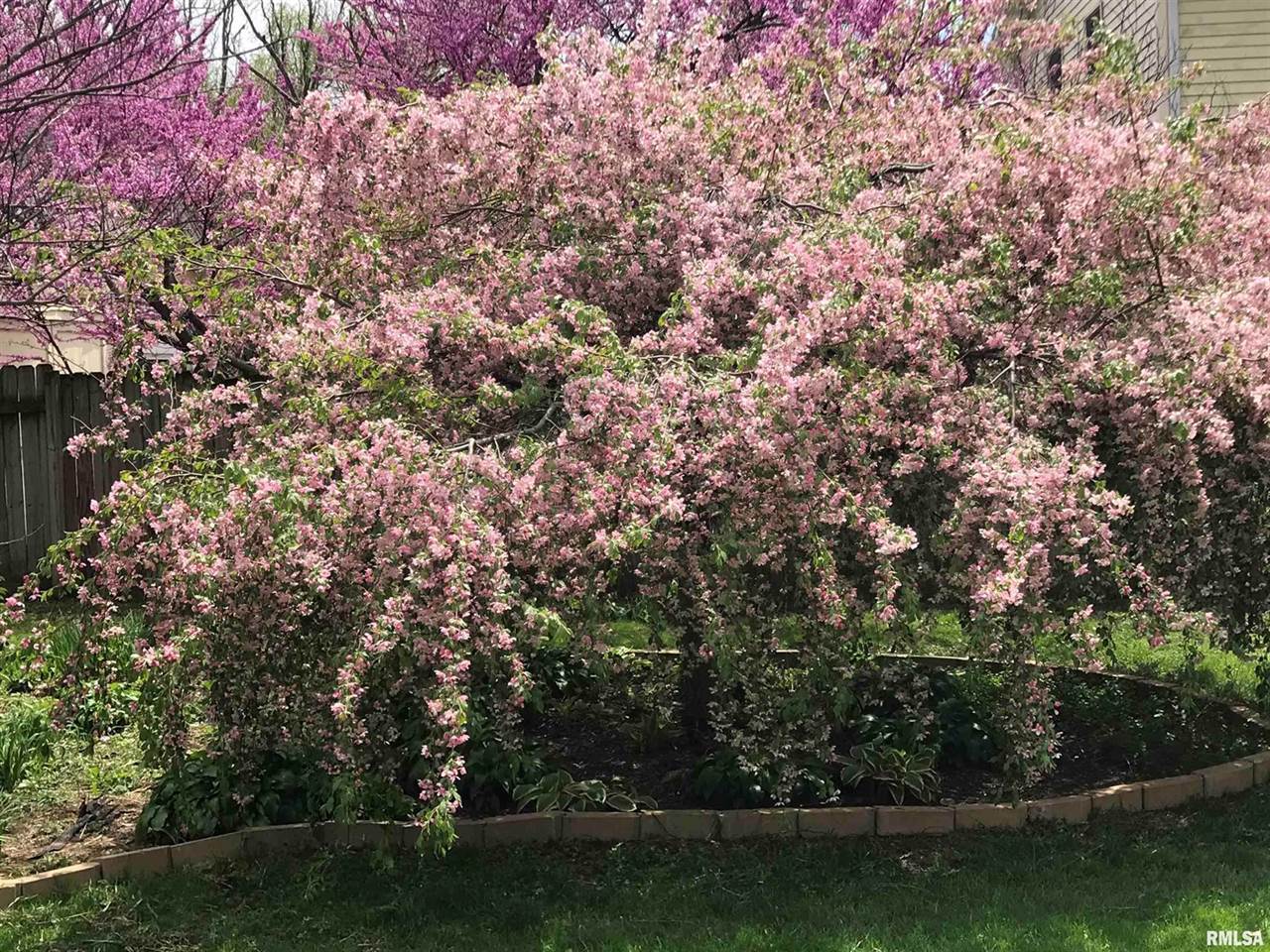 824 South State Street, Geneseo, IL 61254