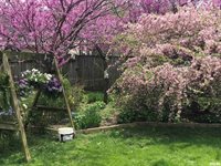 824 South State Street, Geneseo, IL 61254