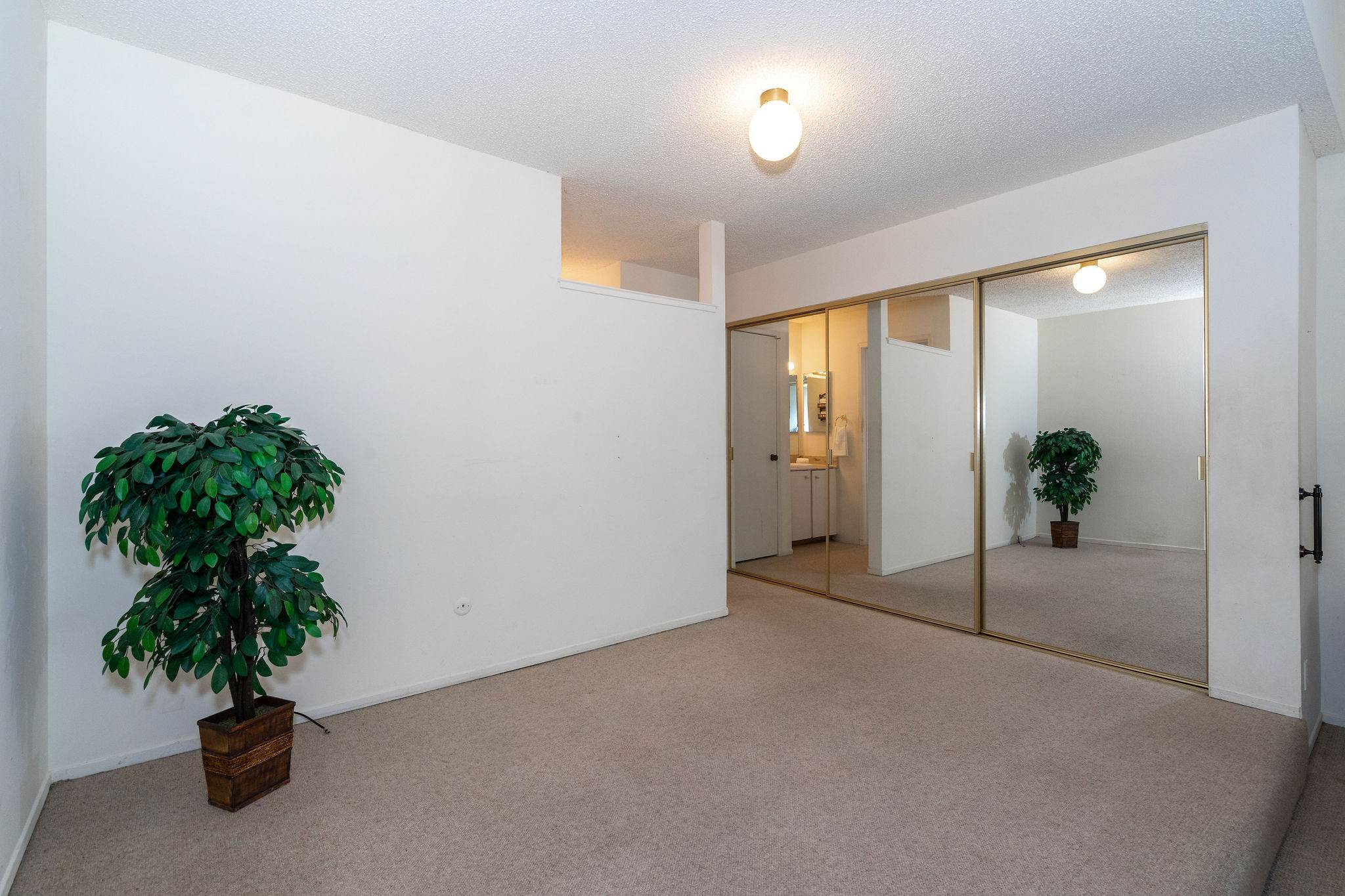 5313 San Luis Avenue, Santa Rosa, CA 95409