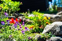 135 Sapphire Court, Whitefish, MT 59937