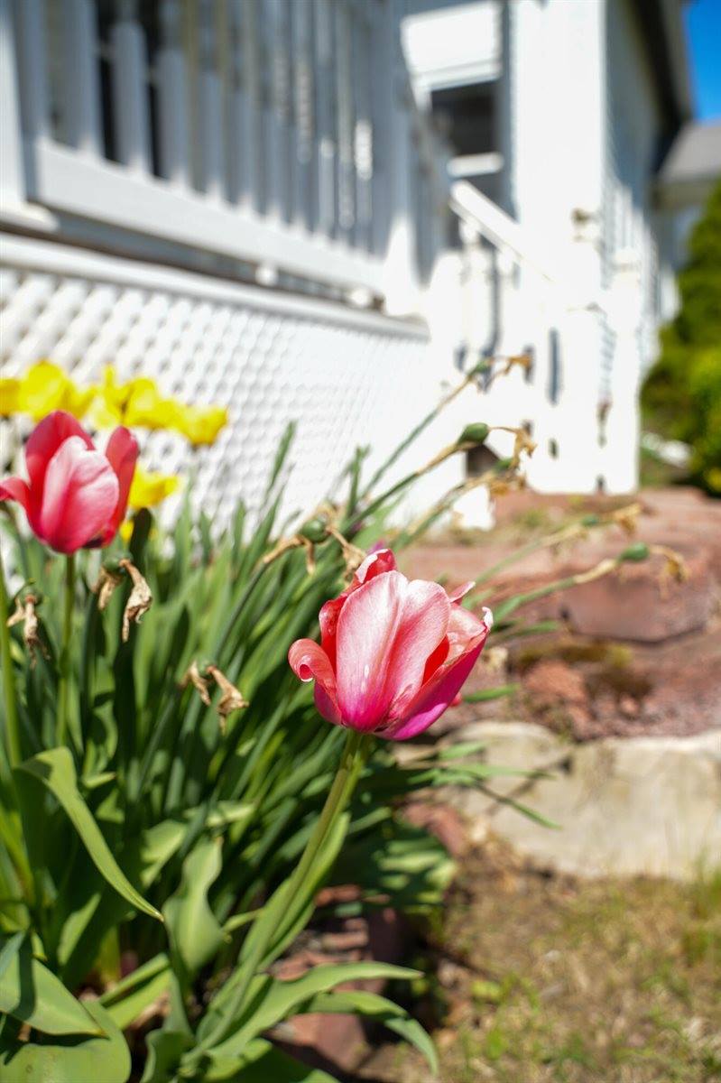 136 Lancaster Avenue, Bangor, ME 04401