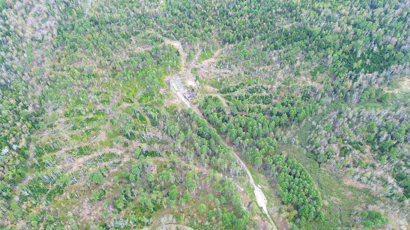 Lot 11 11A &11C Partridge Road, Hampden, ME 04444