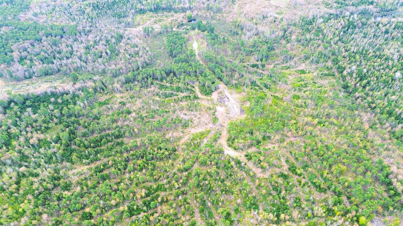 Lot 11 11A &11C Partridge Road, Hampden, ME 04444