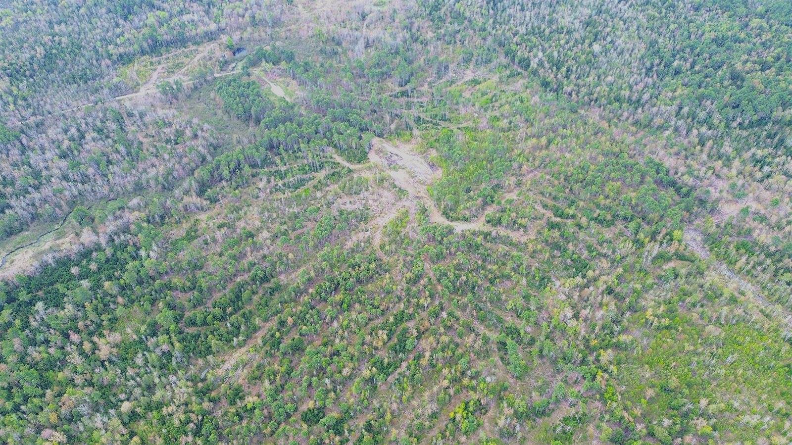 Lot 11 11A &11C Partridge Road, Hampden, ME 04444