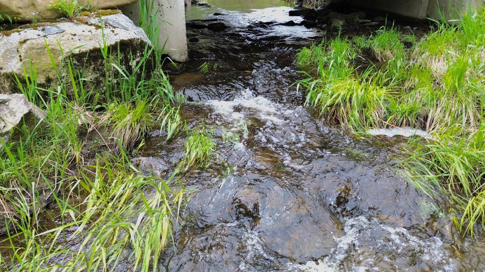 Lot 11 11A &11C Partridge Road, Hampden, ME 04444