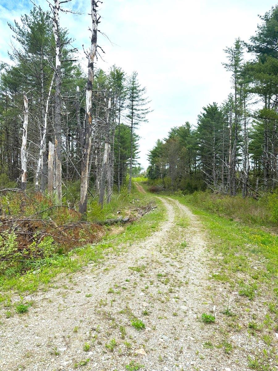 Lot 11 11A &11C Partridge Road, Hampden, ME 04444