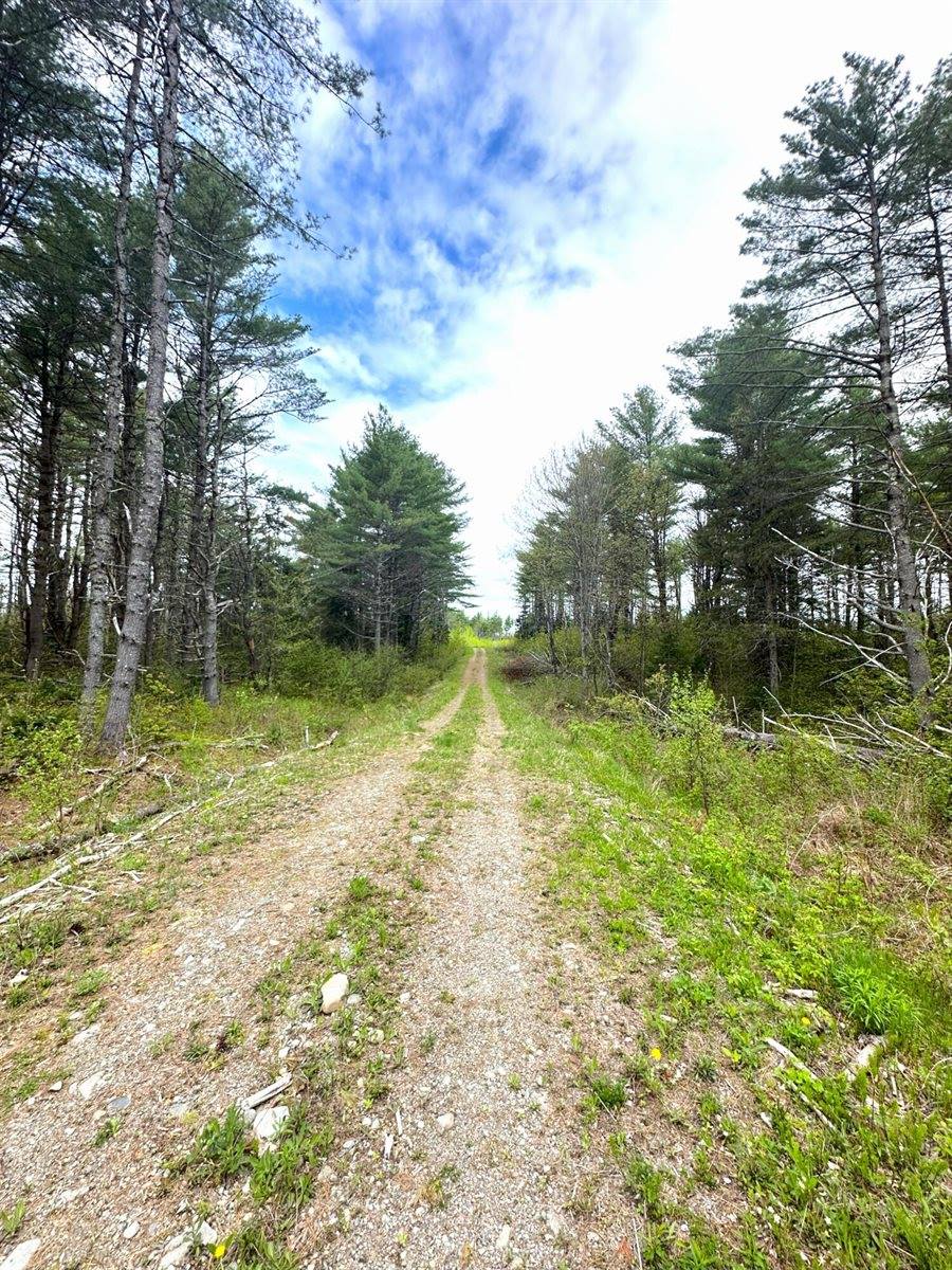 Lot 11 11A &11C Partridge Road, Hampden, ME 04444