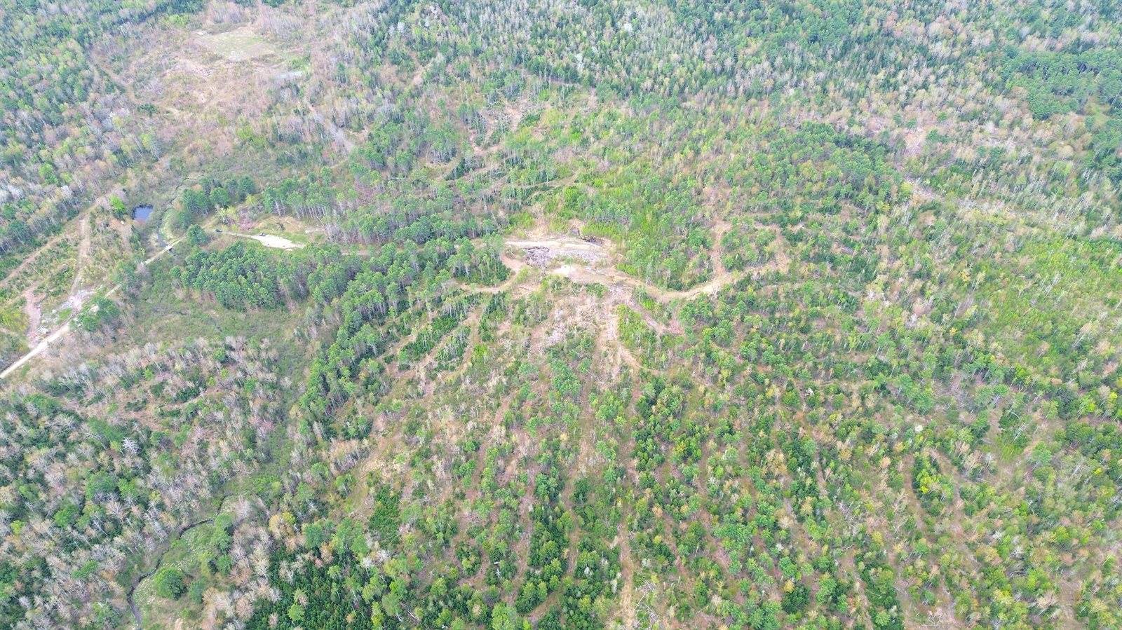 Lot 11 11A &11C Partridge Road, Hampden, ME 04444