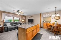 1005 17TH Street, Port Byron, IL 61275