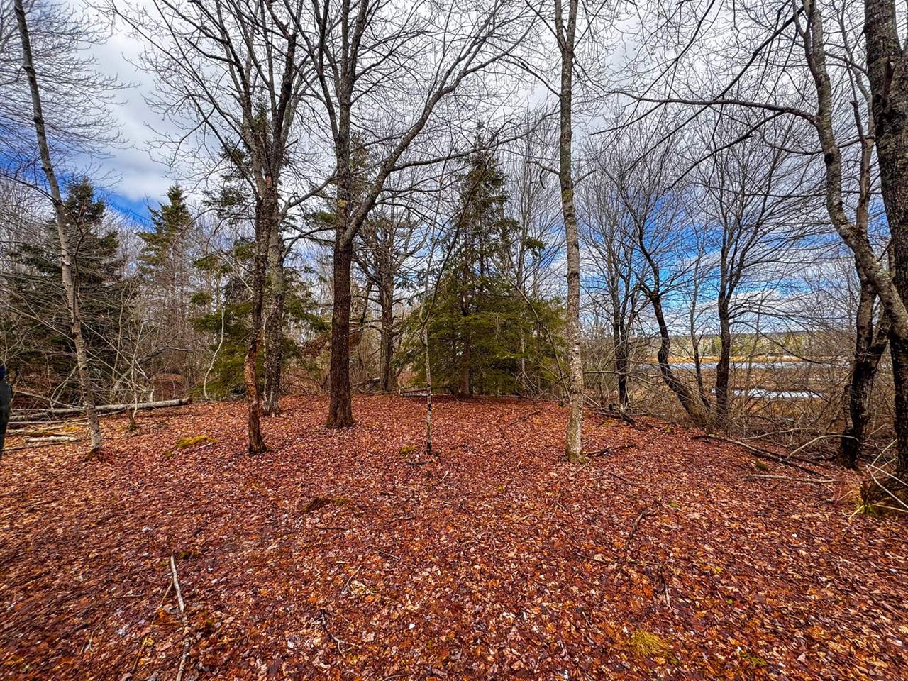 M5L42 Hooke Road, Harrington, ME 04643