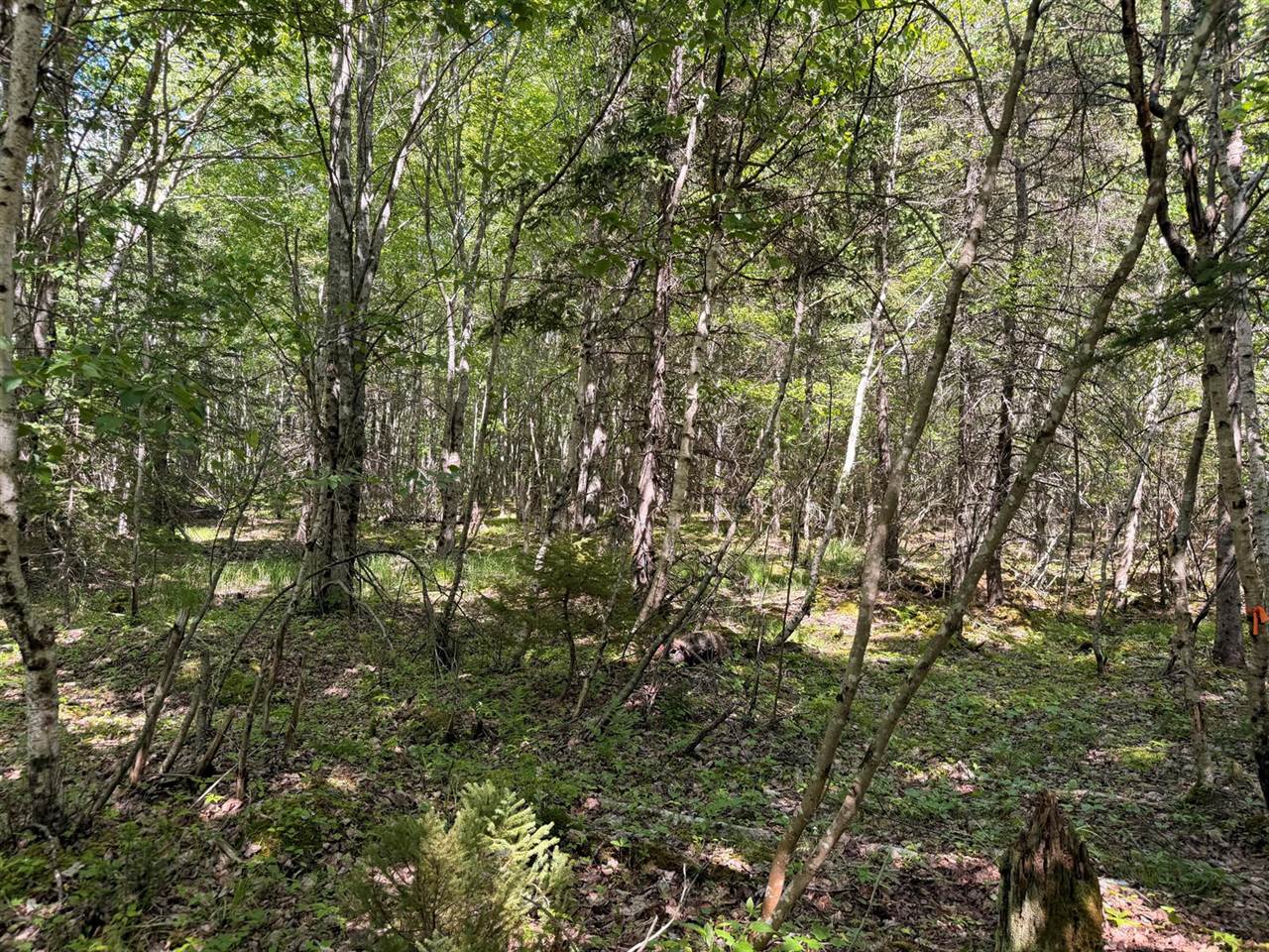 M5L42 Hooke Road, Harrington, ME 04643
