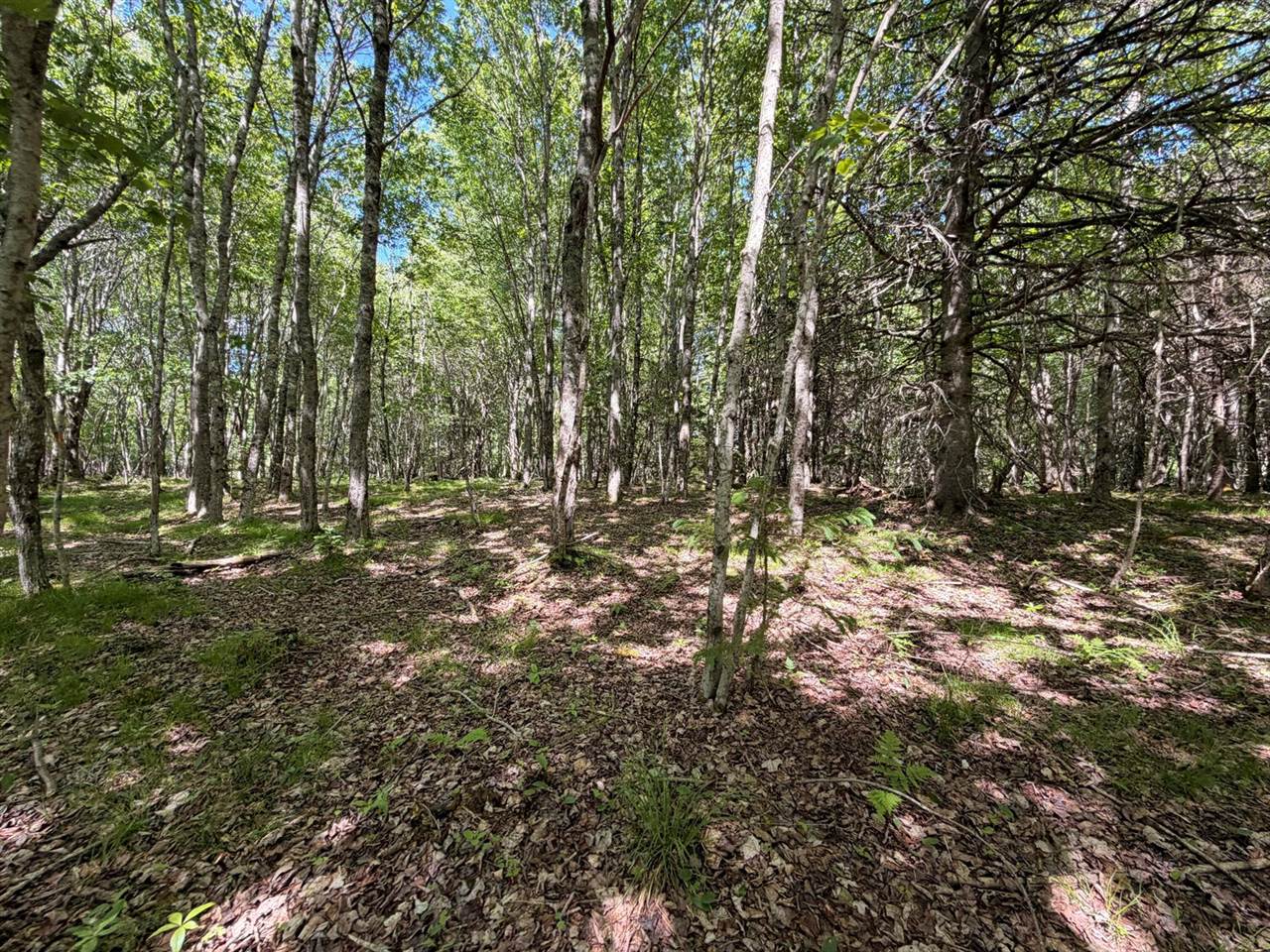 M5L42 Hooke Road, Harrington, ME 04643