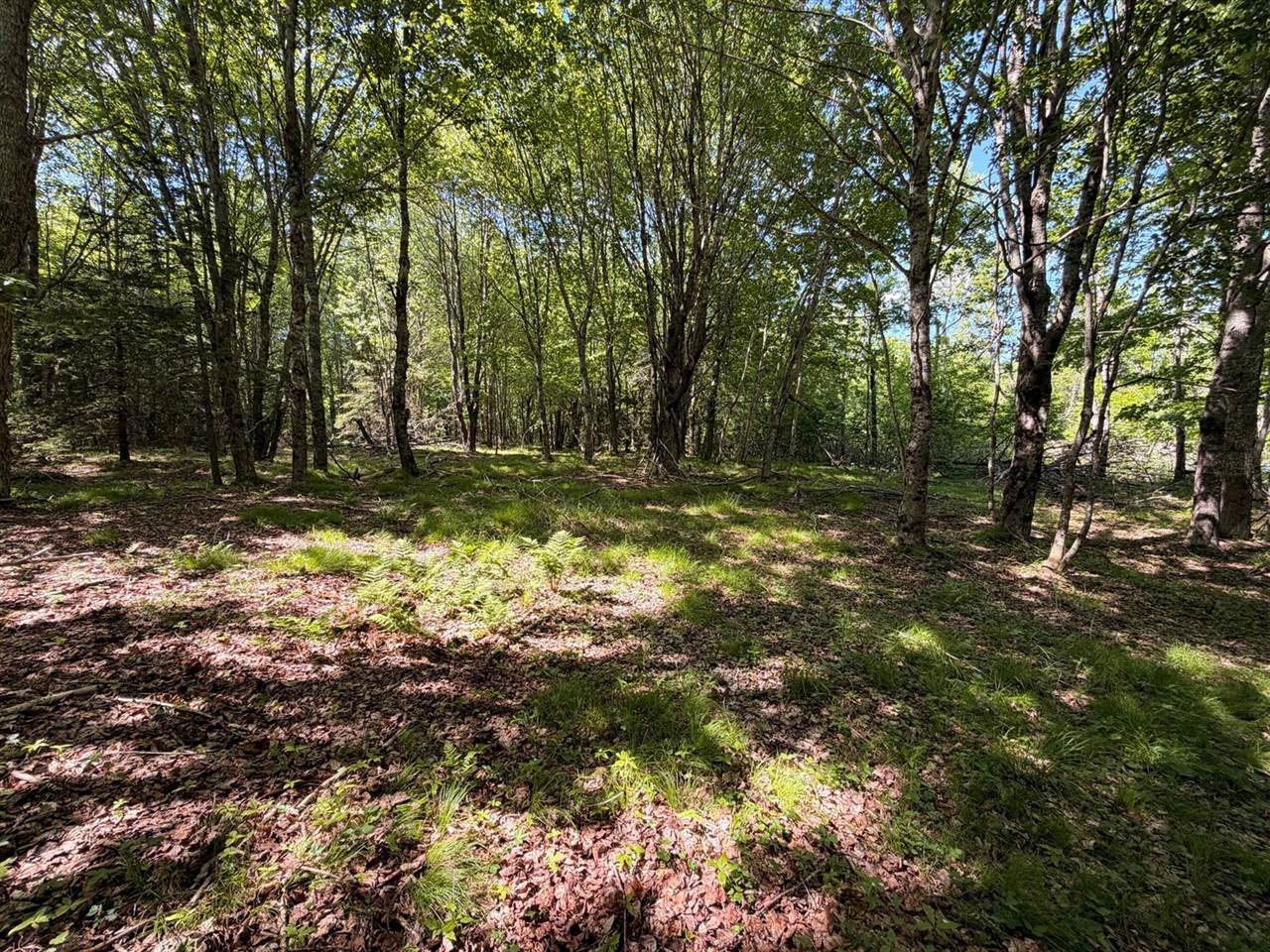 M5L42 Hooke Road, Harrington, ME 04643