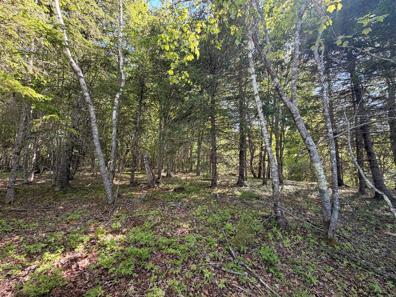 M5L42 Hooke Road, Harrington, ME 04643