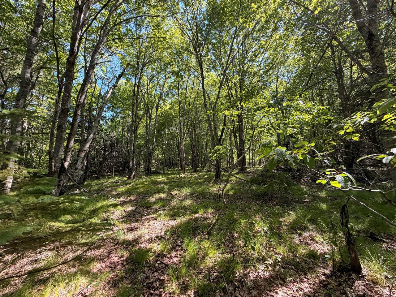 M5L42 Hooke Road, Harrington, ME 04643