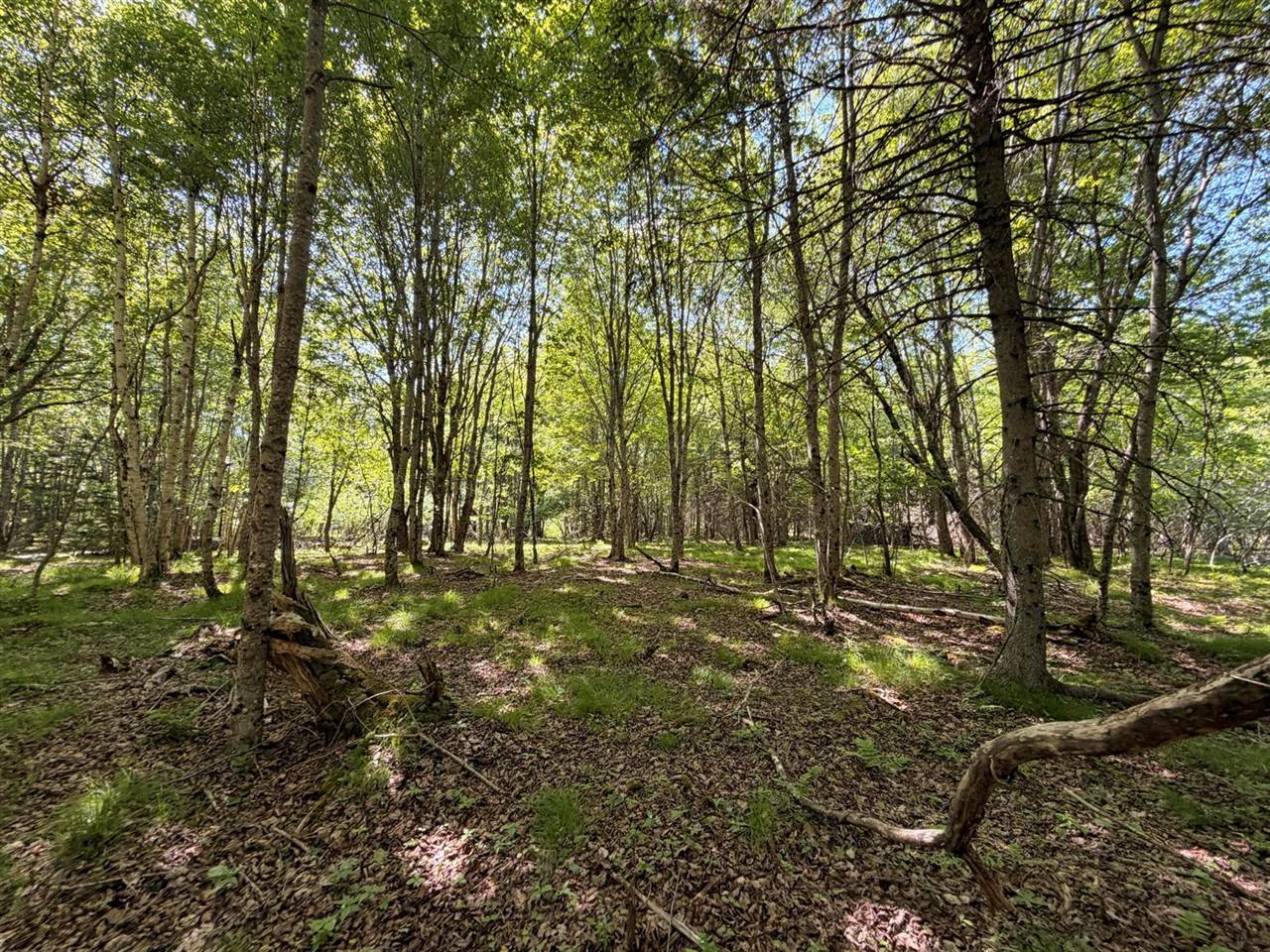 M5L42 Hooke Road, Harrington, ME 04643