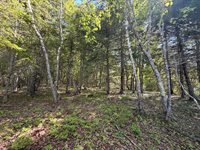 M5L42 Hooke Road, Harrington, ME 04643