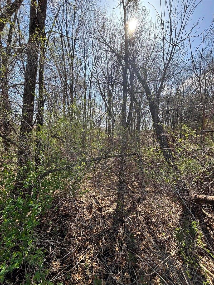 000 Keller Ct, Onalaska, WI 54650