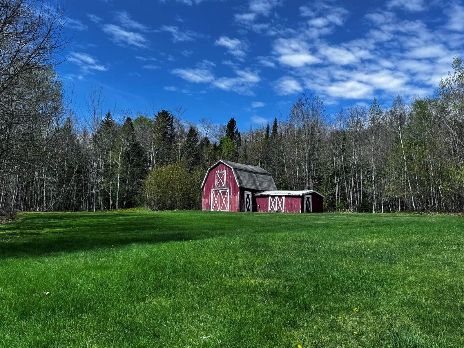 1596 Bald Mountain Road, Orland, ME 04472