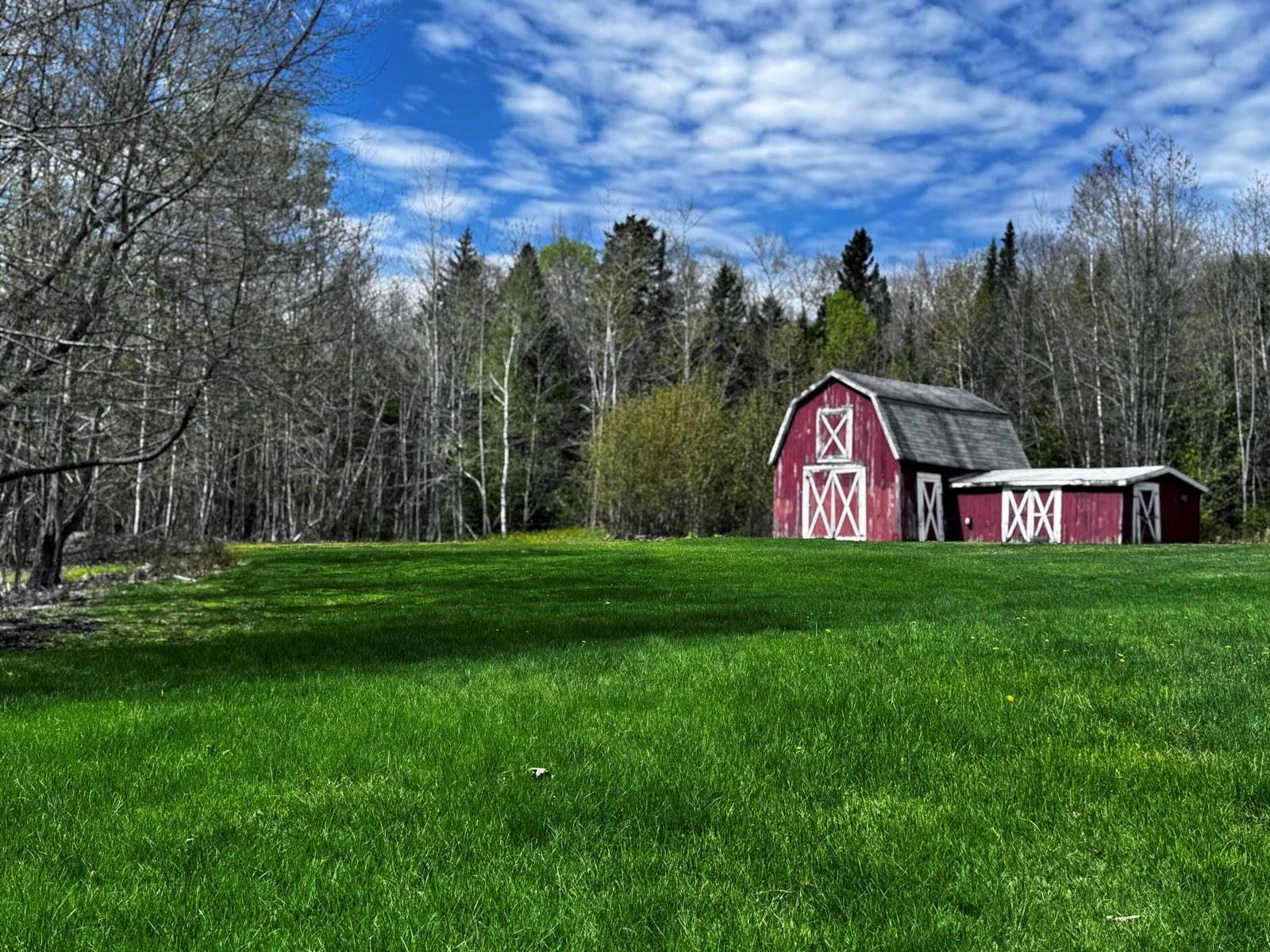 1596 Bald Mountain Road, Orland, ME 04472