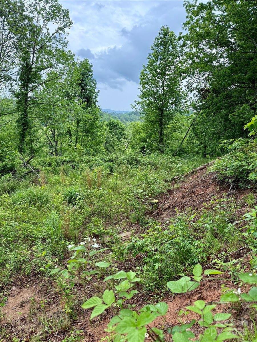 12 Willow Knoll Drive, Weaverville, NC 28787