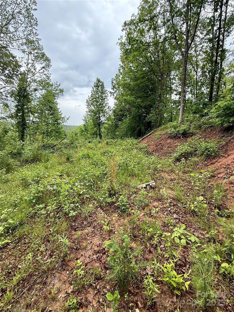 12 Willow Knoll Drive, Weaverville, NC 28787