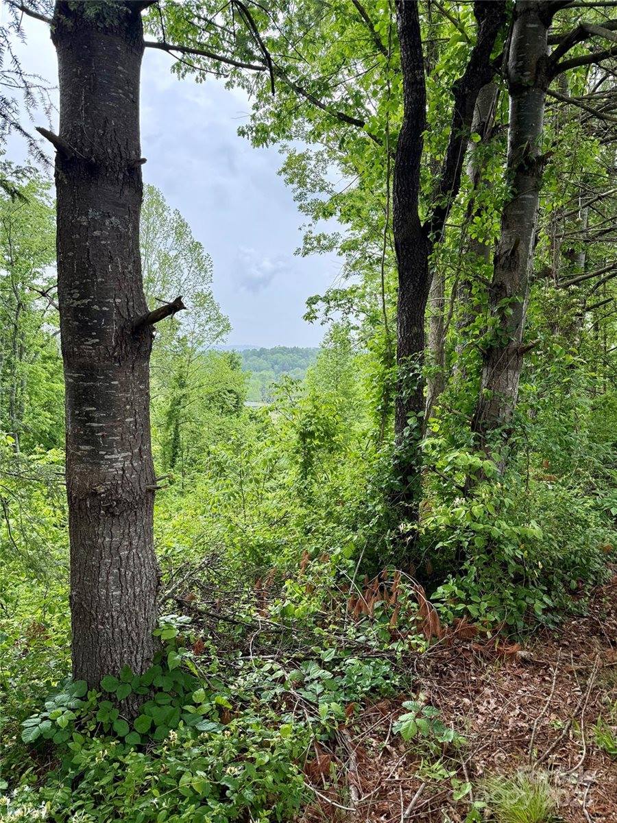 12 Willow Knoll Drive, Weaverville, NC 28787