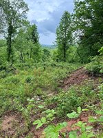 12 Willow Knoll Drive, Weaverville, NC 28787