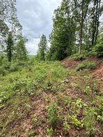 12 Willow Knoll Drive, Weaverville, NC 28787