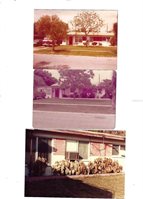 4409 West Wyoming Avenue, Tampa, FL 33616