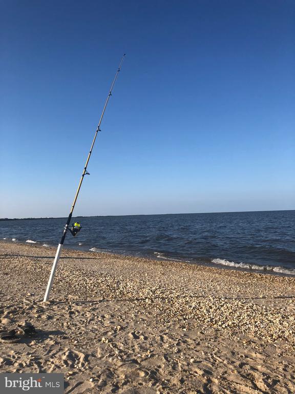 18169 South White Cedar Court, Milton, DE 19968