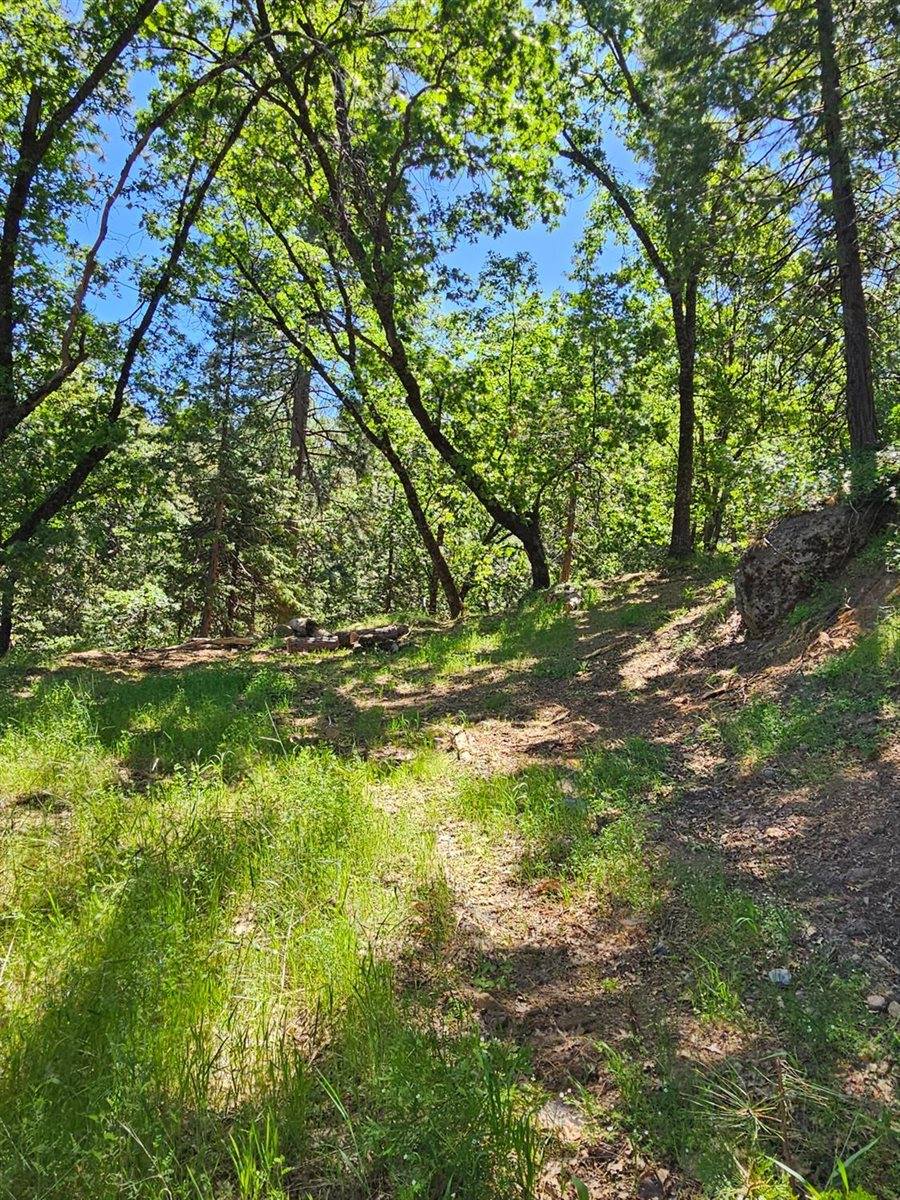 5148 Wylderidge Drive, Murphys, CA 95247